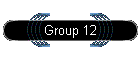 Group 12