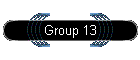 Group 13